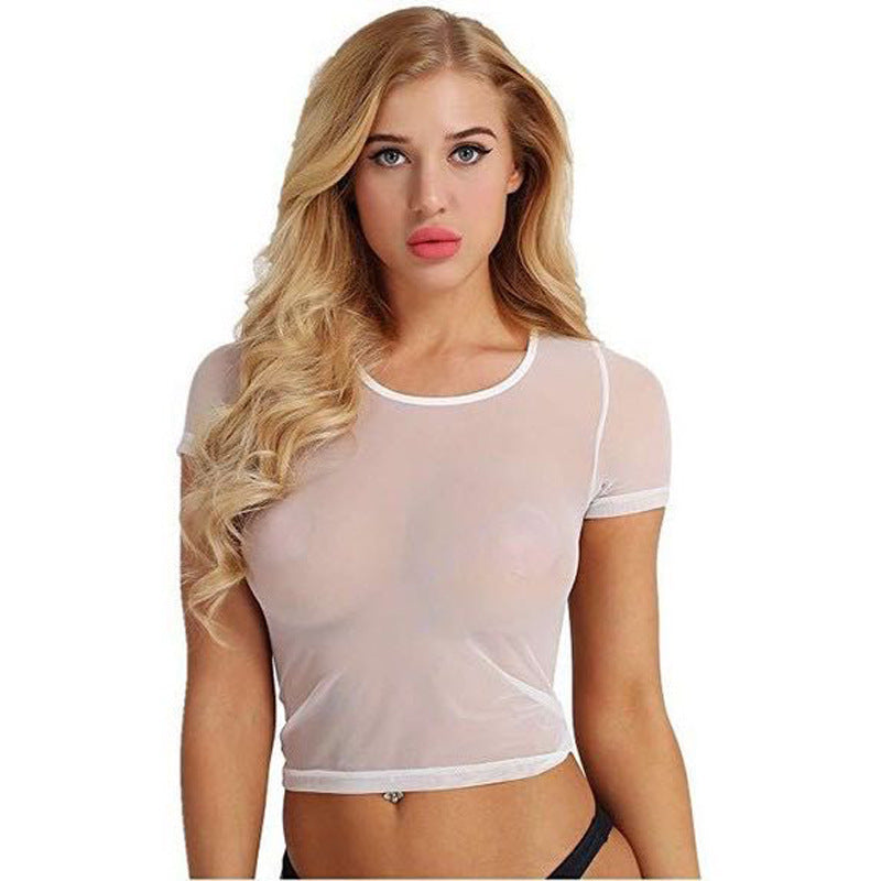 Transparent Temptation Short Sleeve Mesh Sexy Lingerie